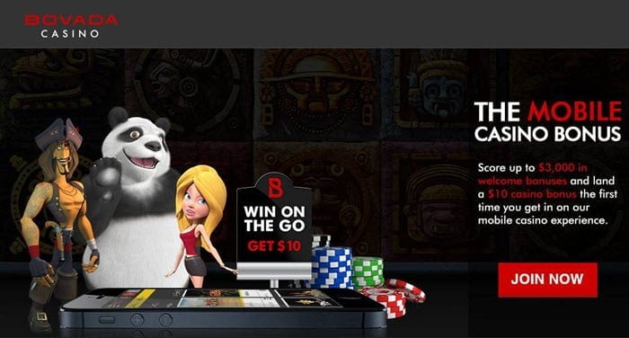 20 bet app