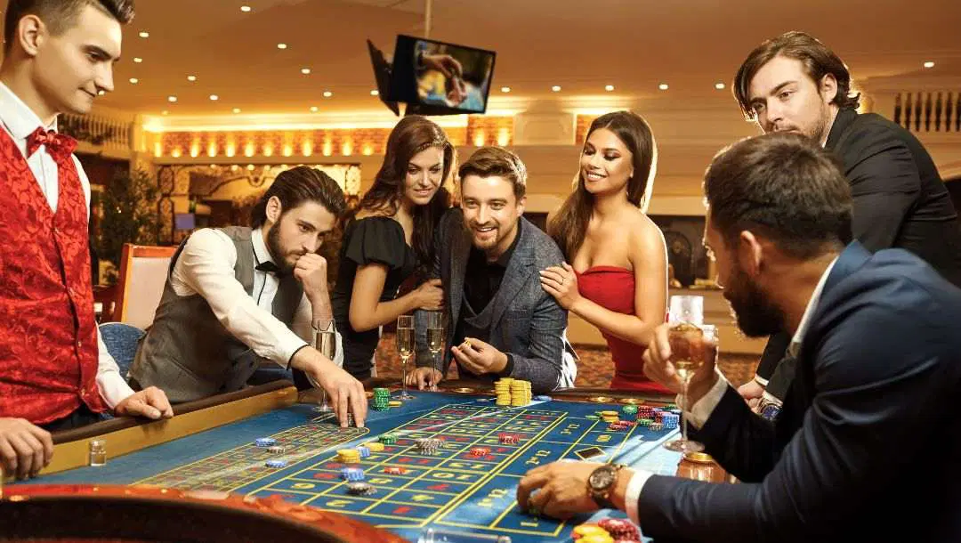 Analyze the odds and defeat the house for premium cash