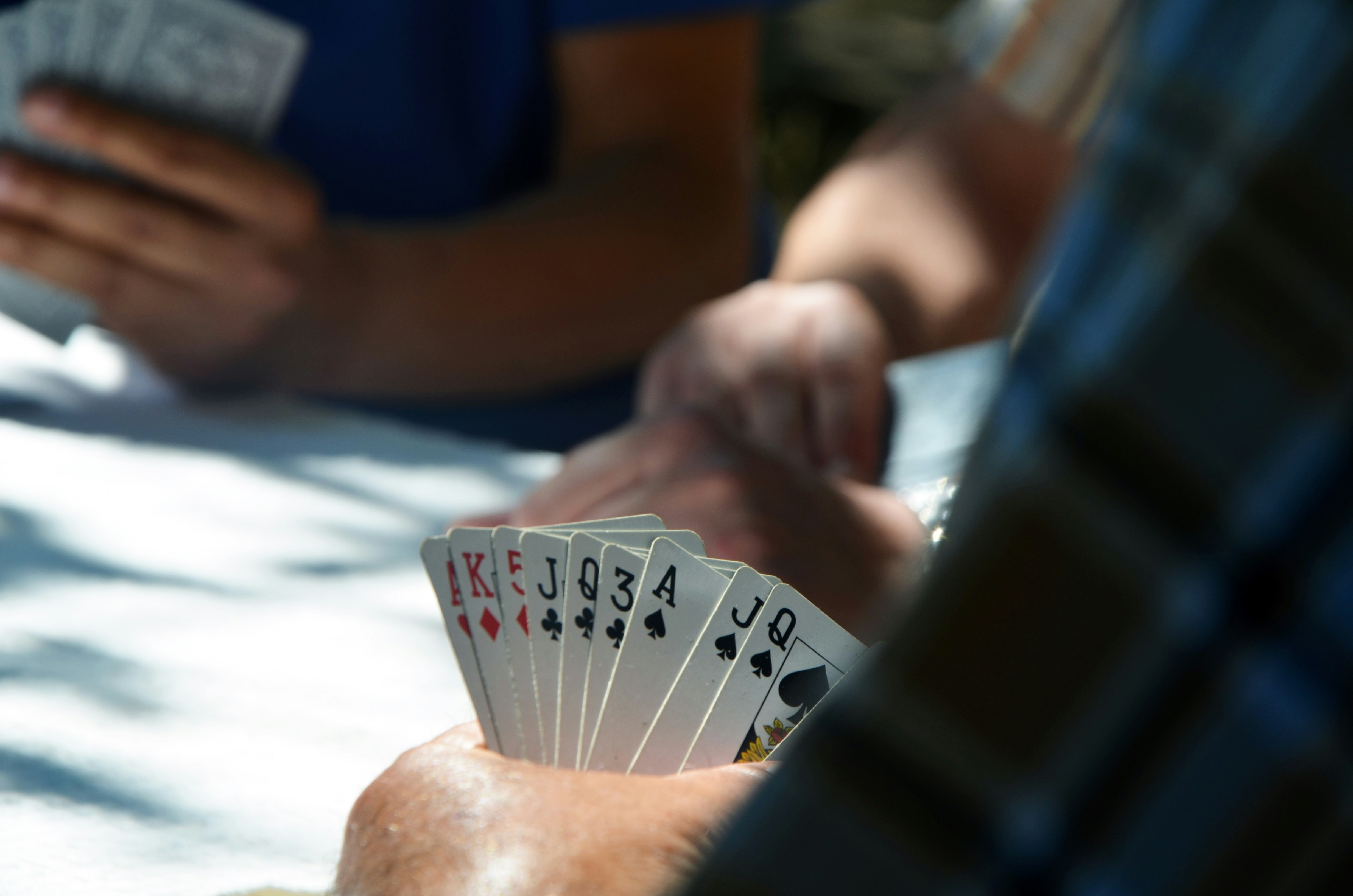 Gain trusted insights to operate your next gambling win