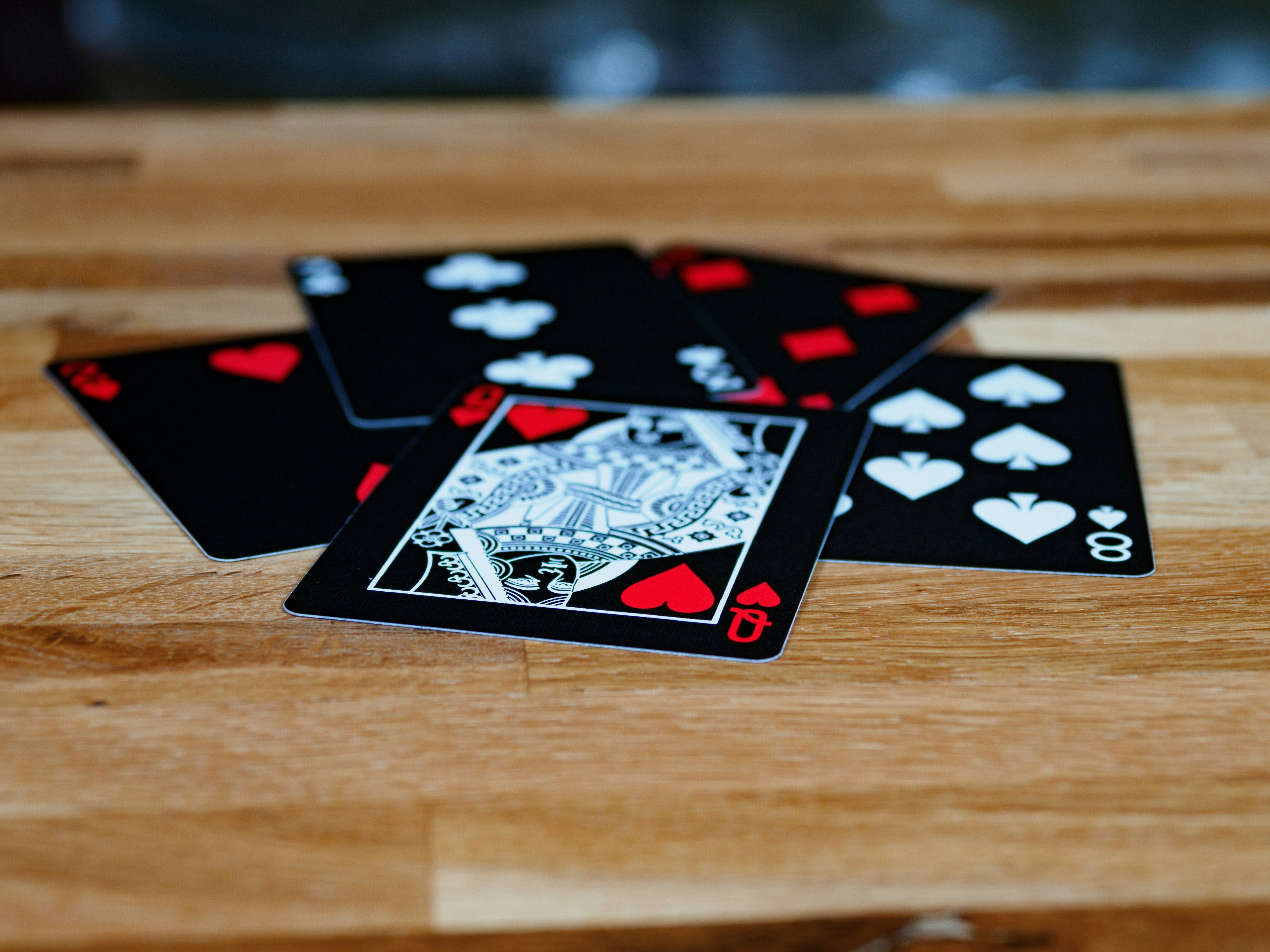 Relish favorable odds at North Casino: your ultimate fun gambling escape