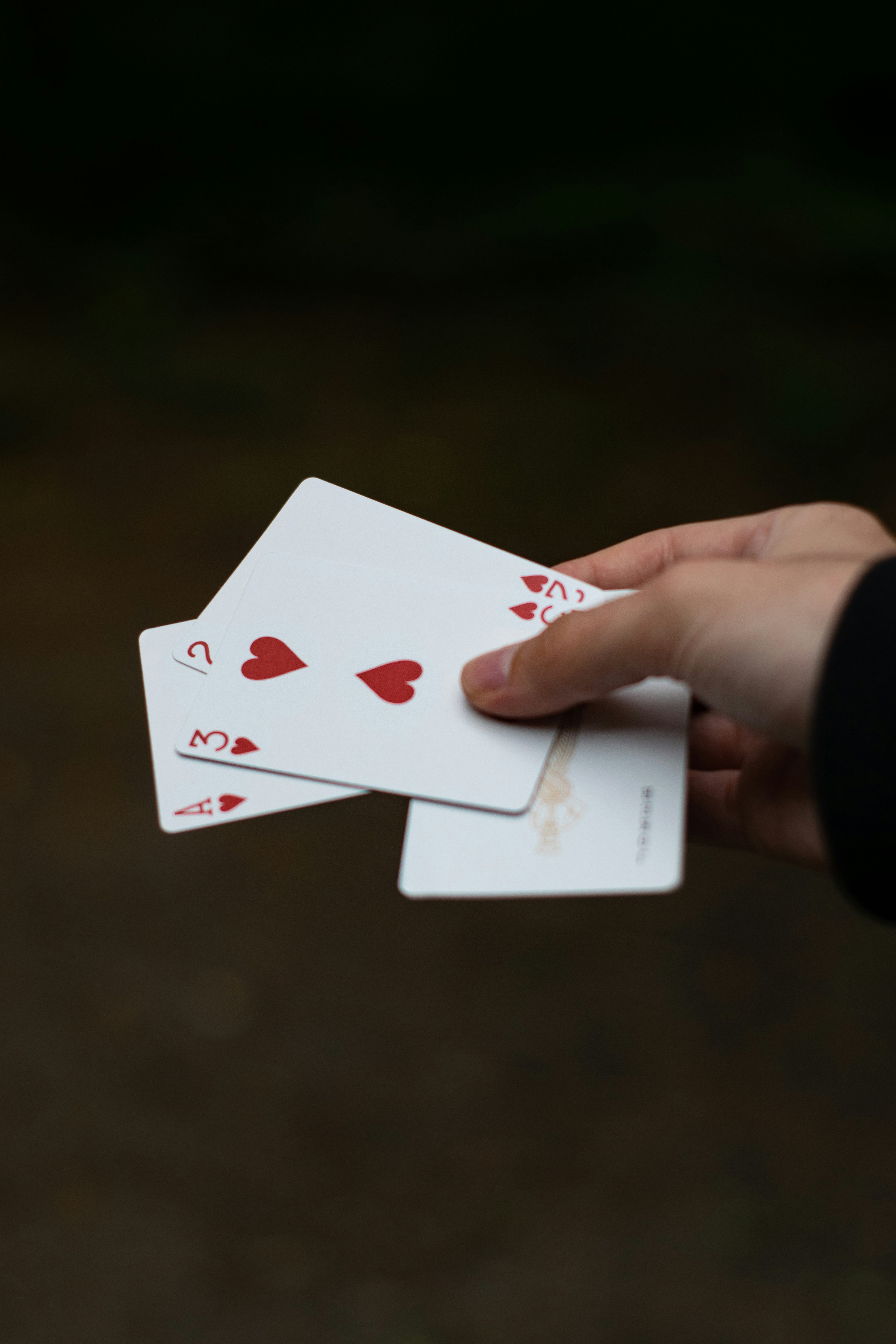 247bet login